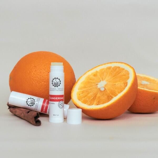 Organic Wellkiss Lip Balm