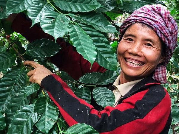 Myanmar Backyard Coffee, 120 g