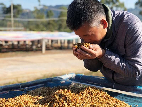 Myanmar Backyard Coffee, 120 g