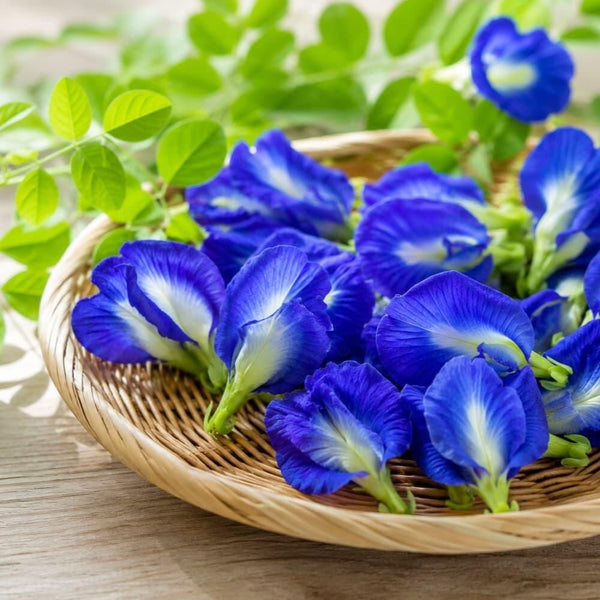 Butterfly Pea Flavored Honey, 130 g
